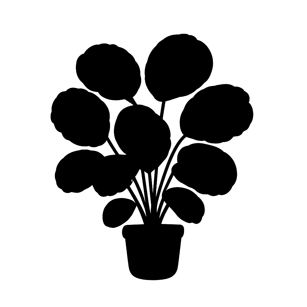 Goeppertia orbifolia