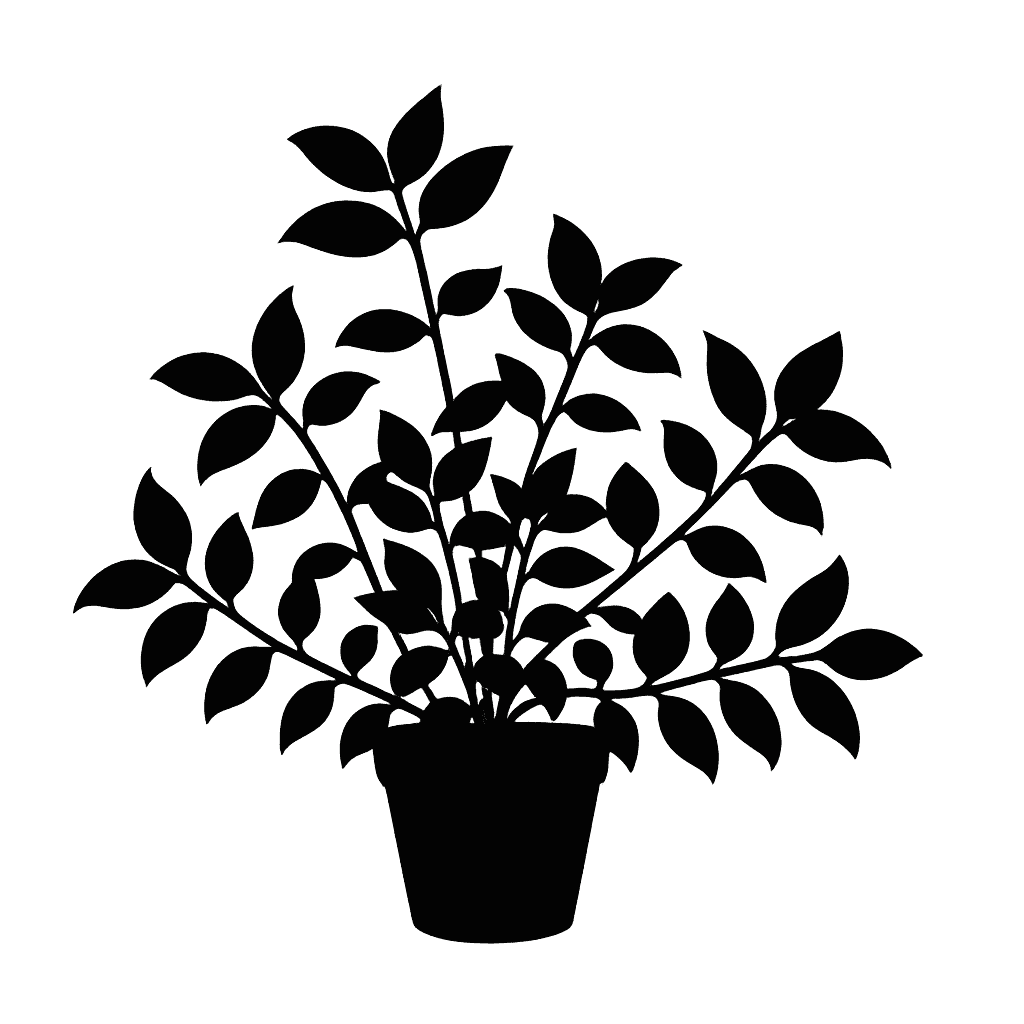 Tradescantia fluminensis