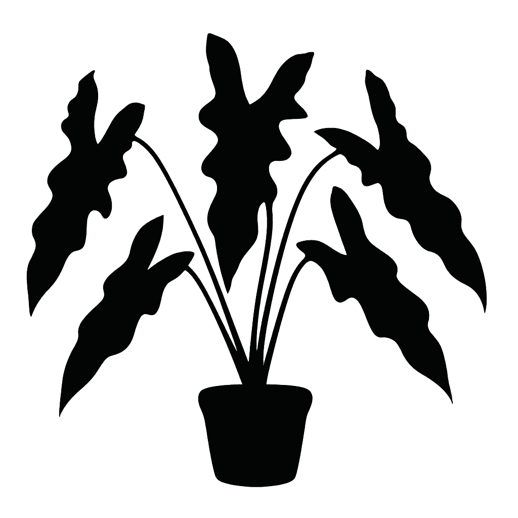 Philodendron spiritus-sancti