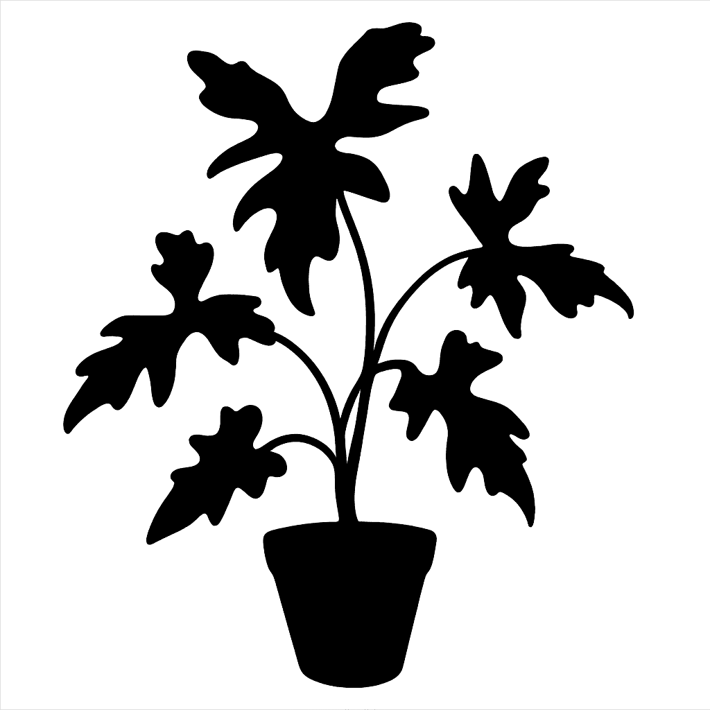 Philodendron bipennifolium