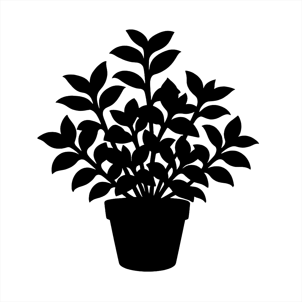 Tradescantia sillamontana