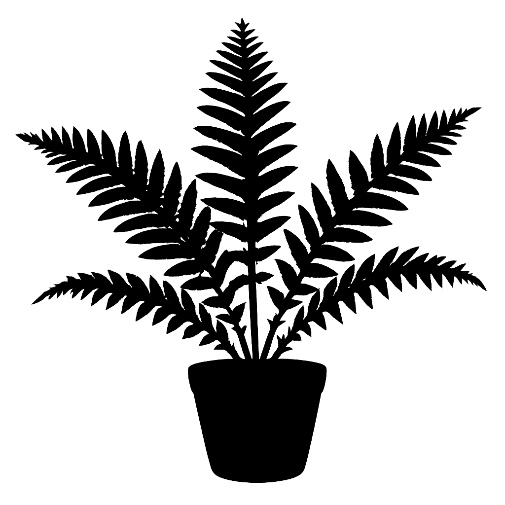 Polystichum oculatum