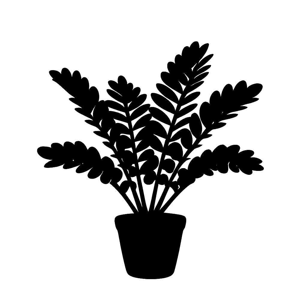 Zamia furfuracea