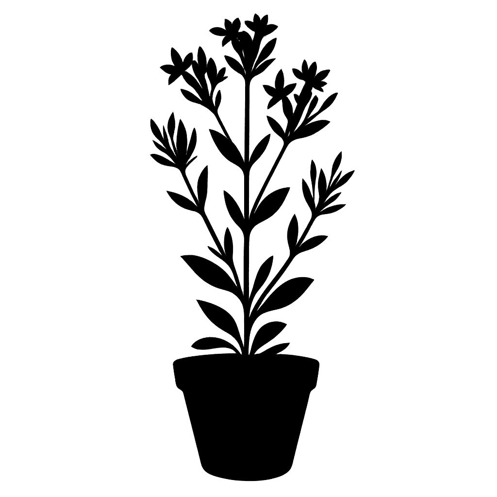 Erythraea centaurium