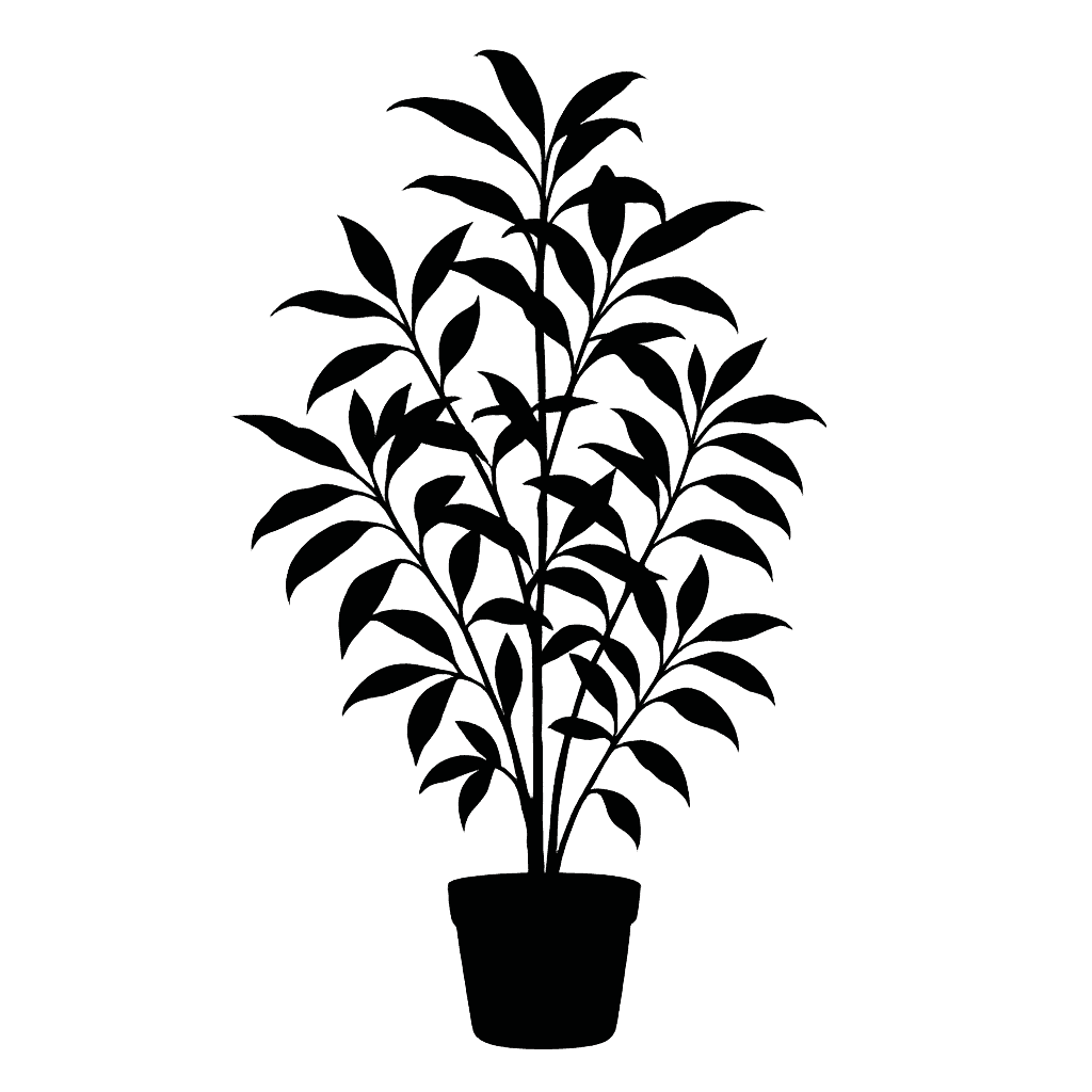 Dracaena surculosa