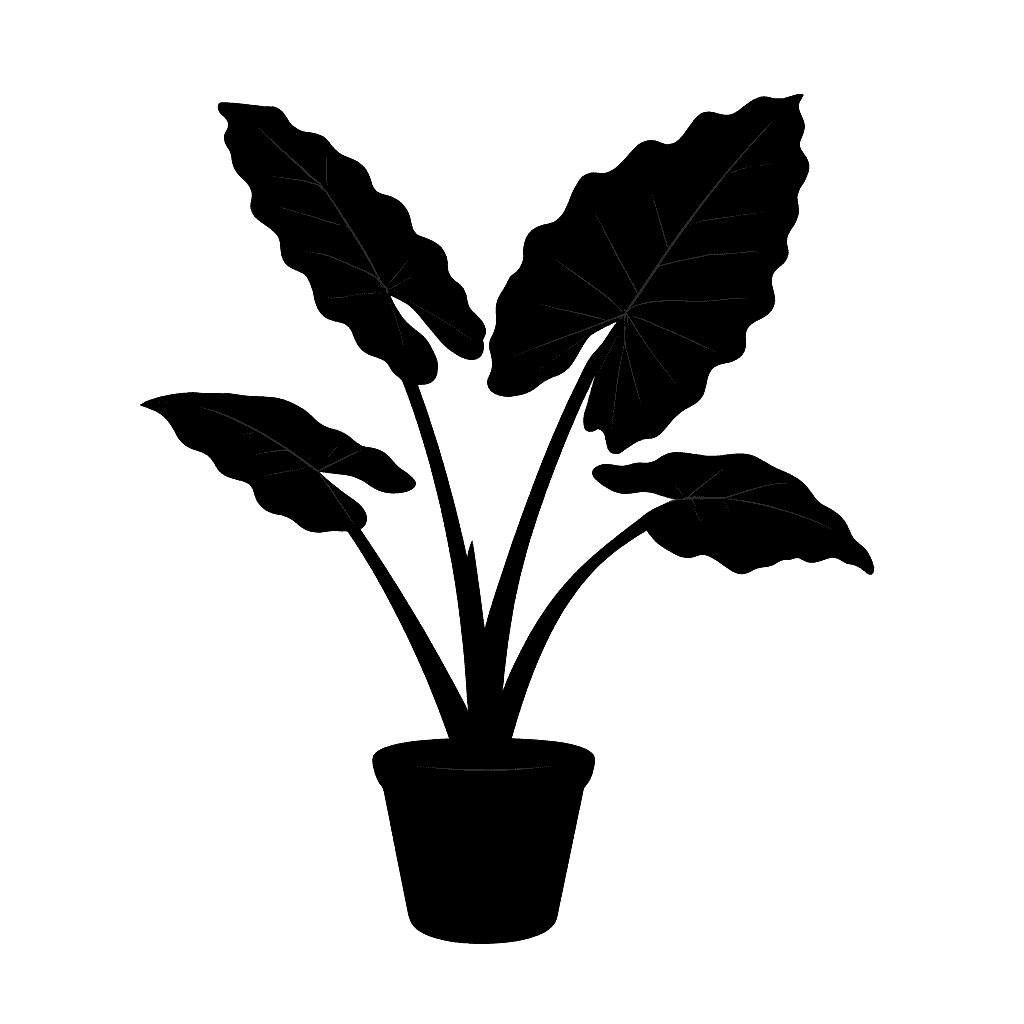Alocasia macrorrhizos