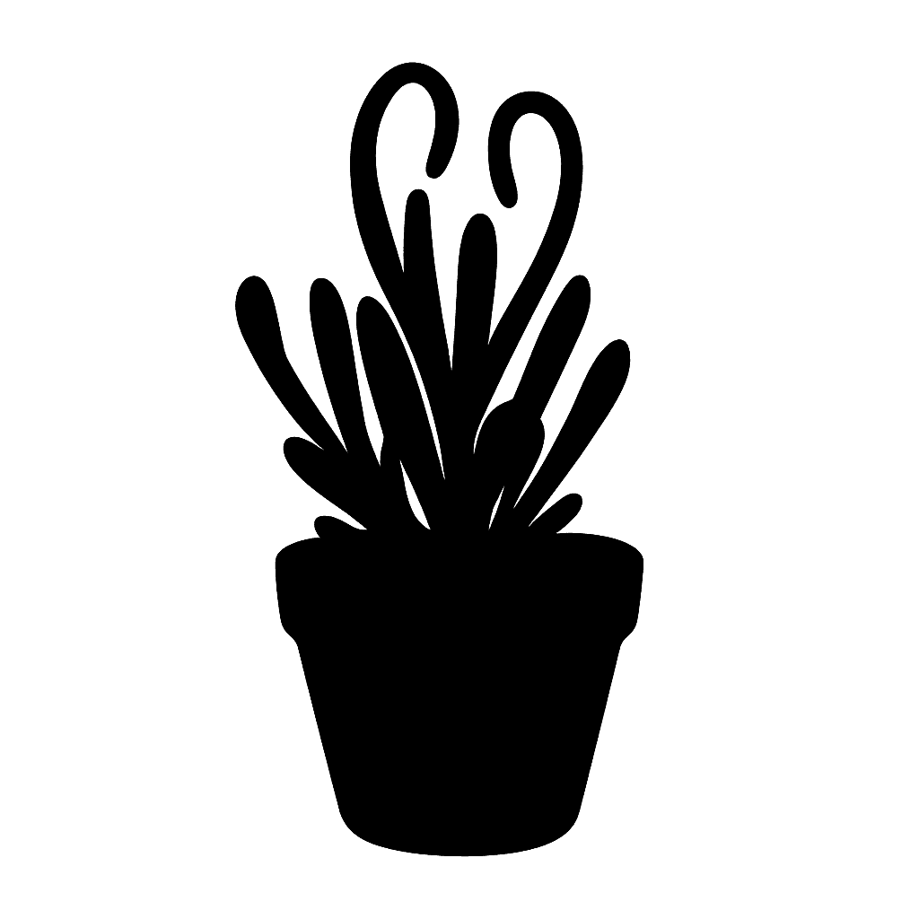 Monilaria obconica