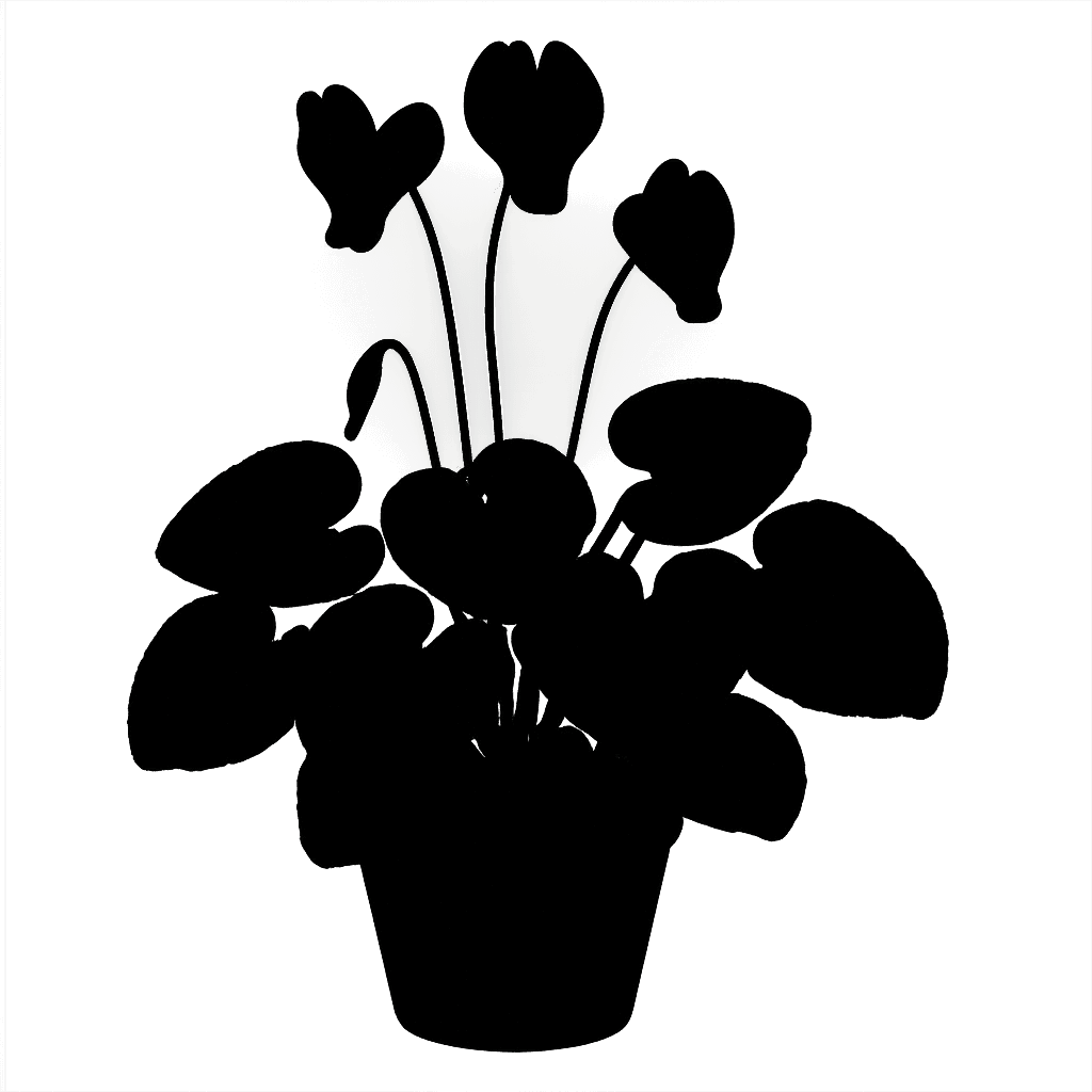 Cyclamen purpurascens