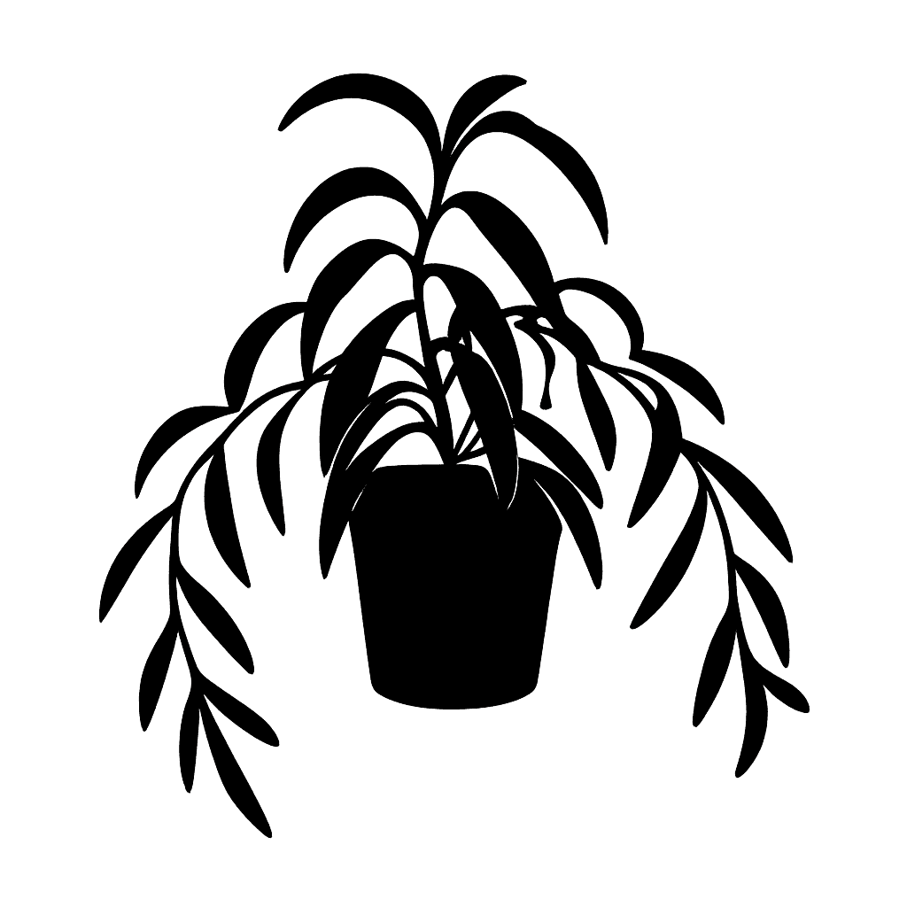 Cyanotis somaliensis