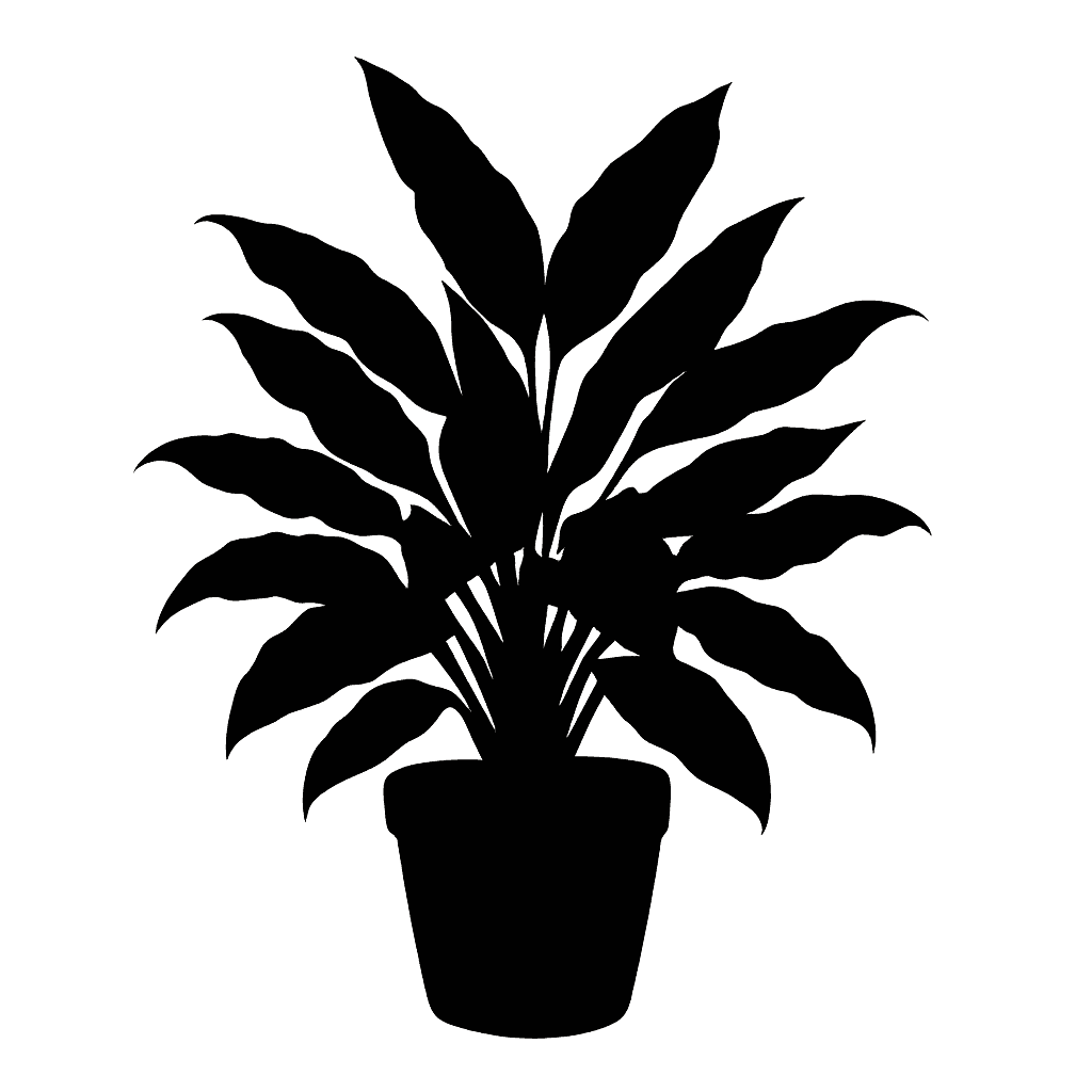 Aglaonema commutatum