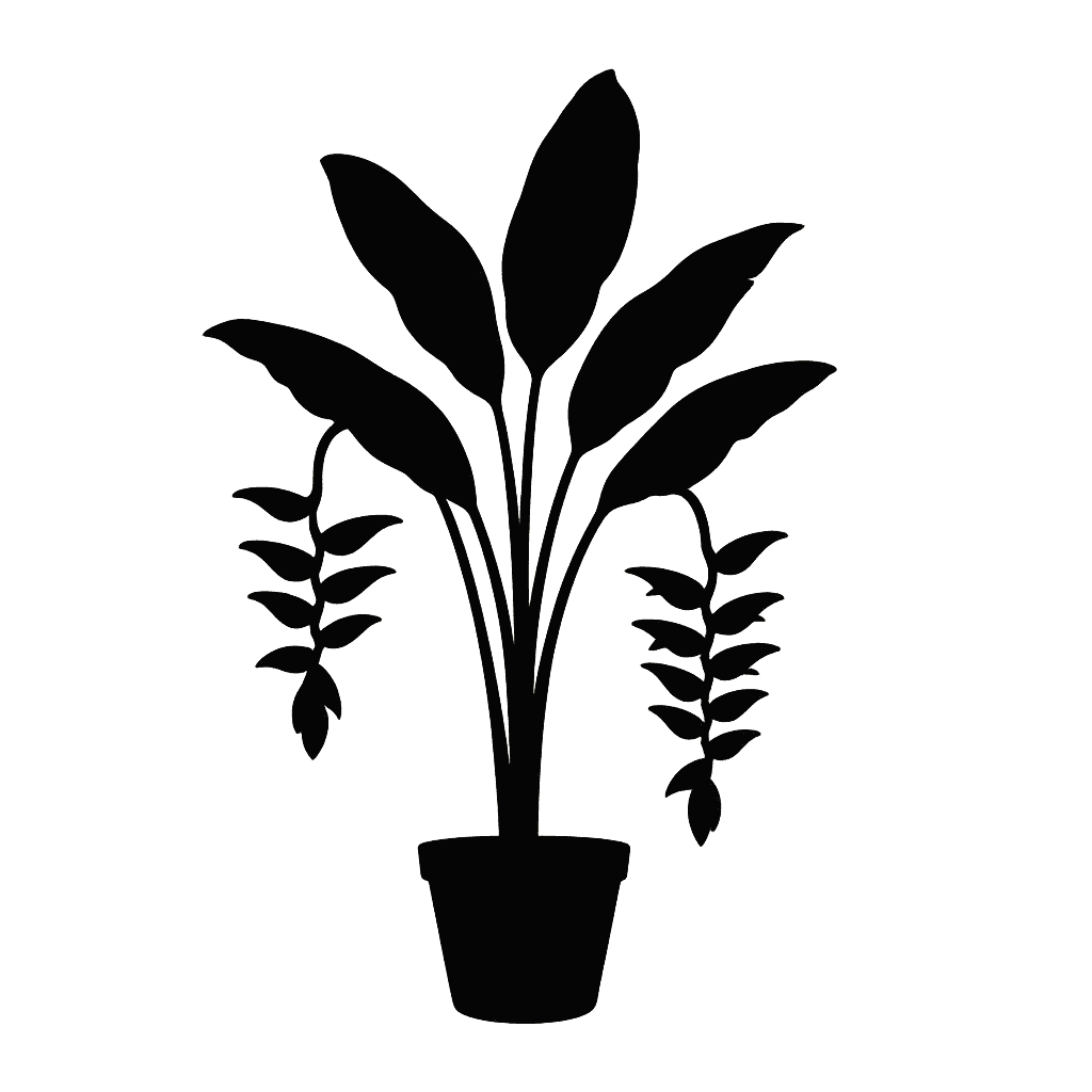 Heliconia rostrata