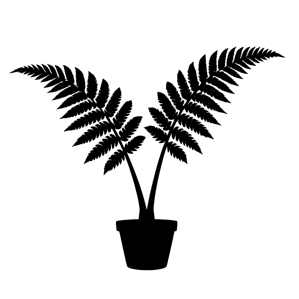 Angiopteris evecta