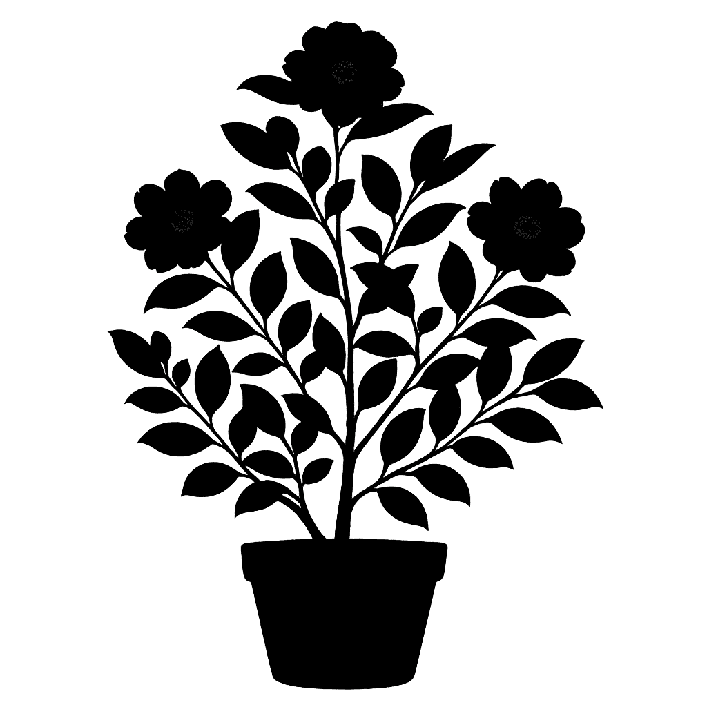 Camellia sasanqua