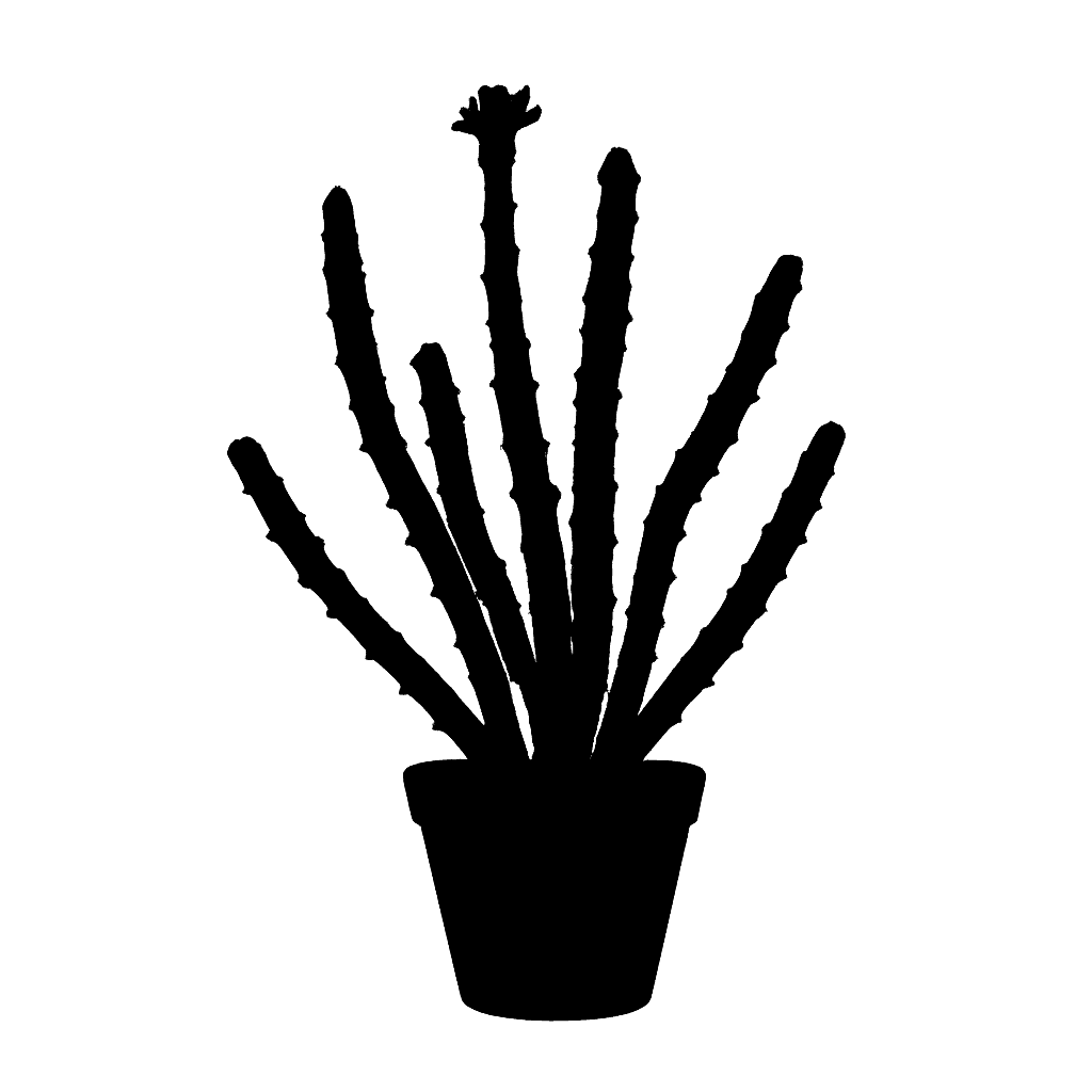 Kleinia stapeliiformis