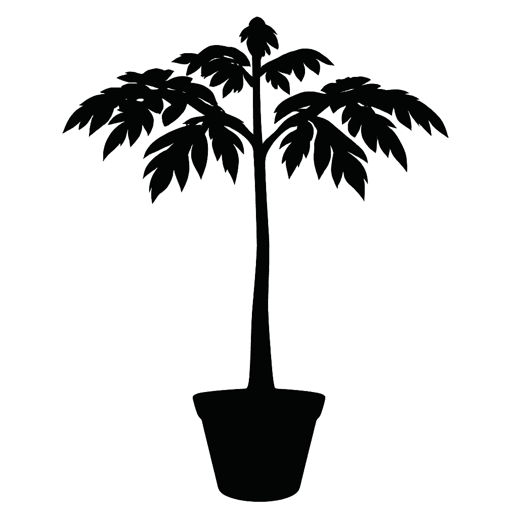 Amorphophallus titanum