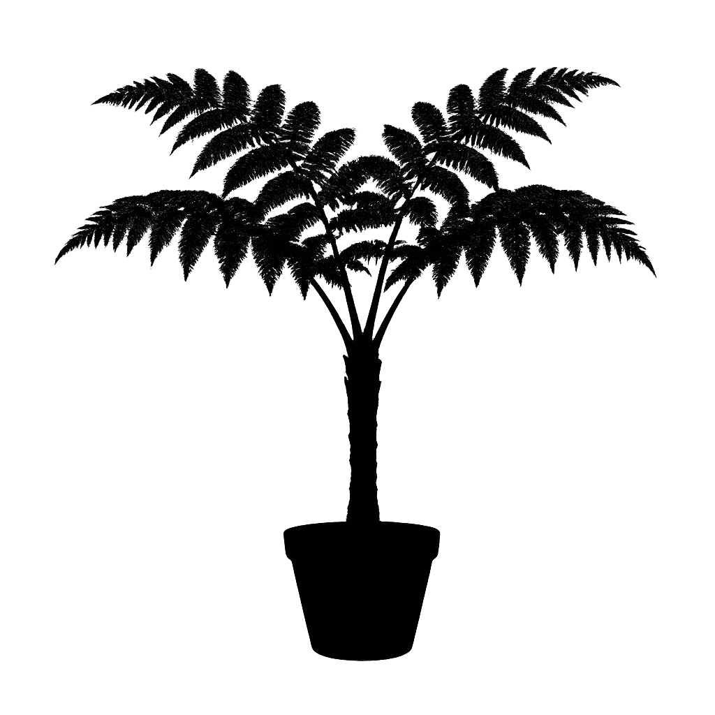 Sphaeropteris brunei