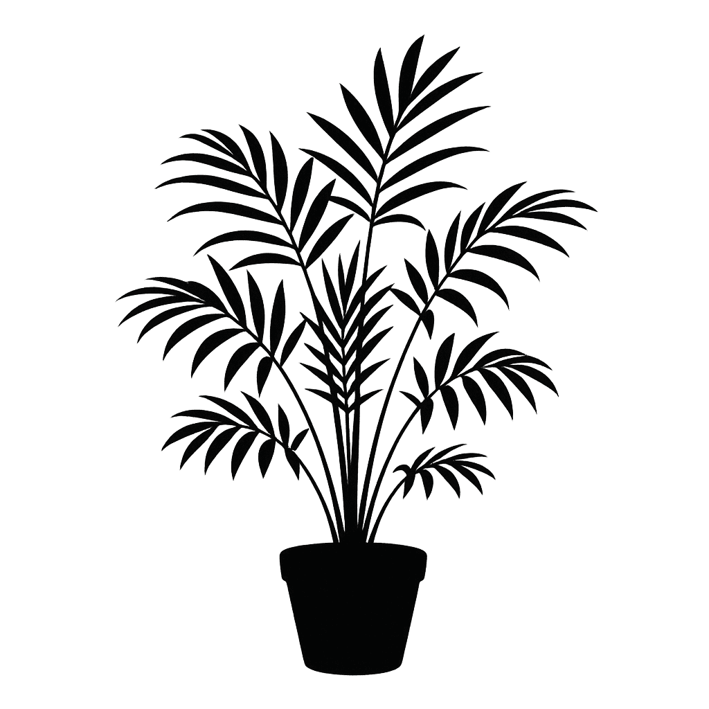 Chamaedorea elegans