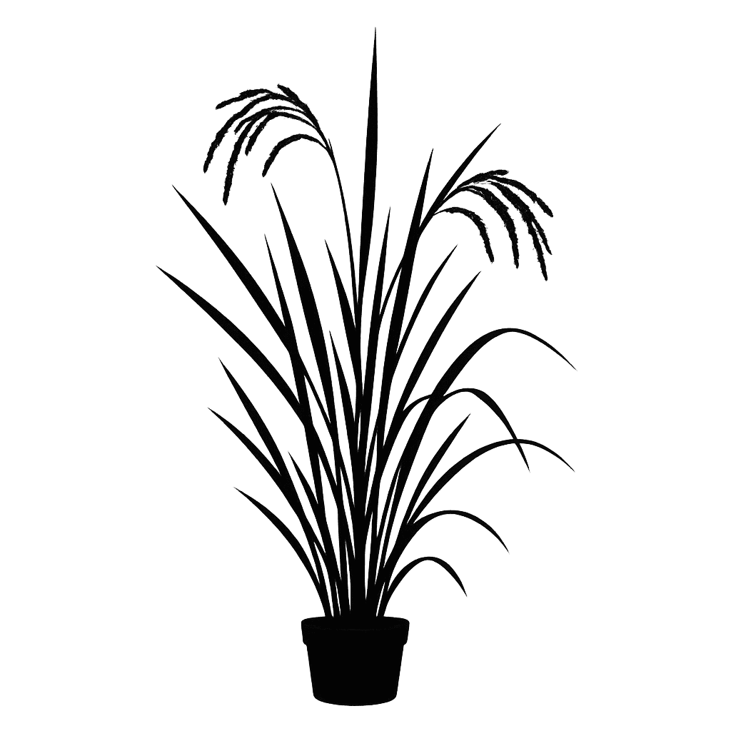 Oryza rufipogon