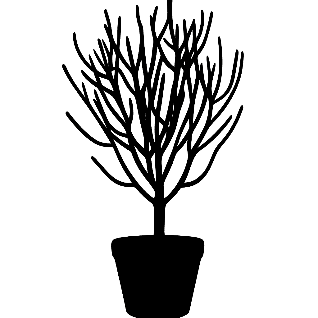 Euphorbia tirucalli