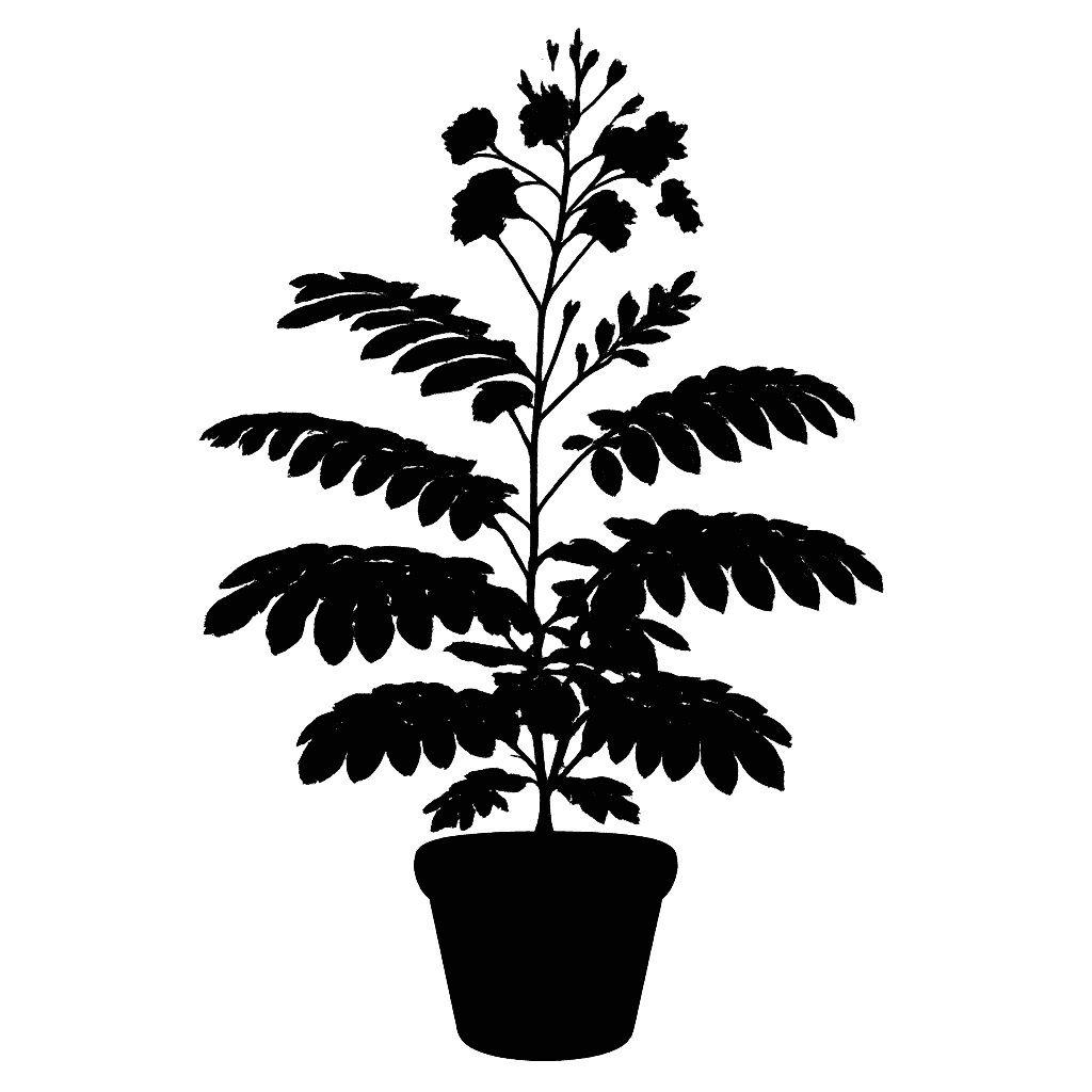 Caesalpinia pulcherrima