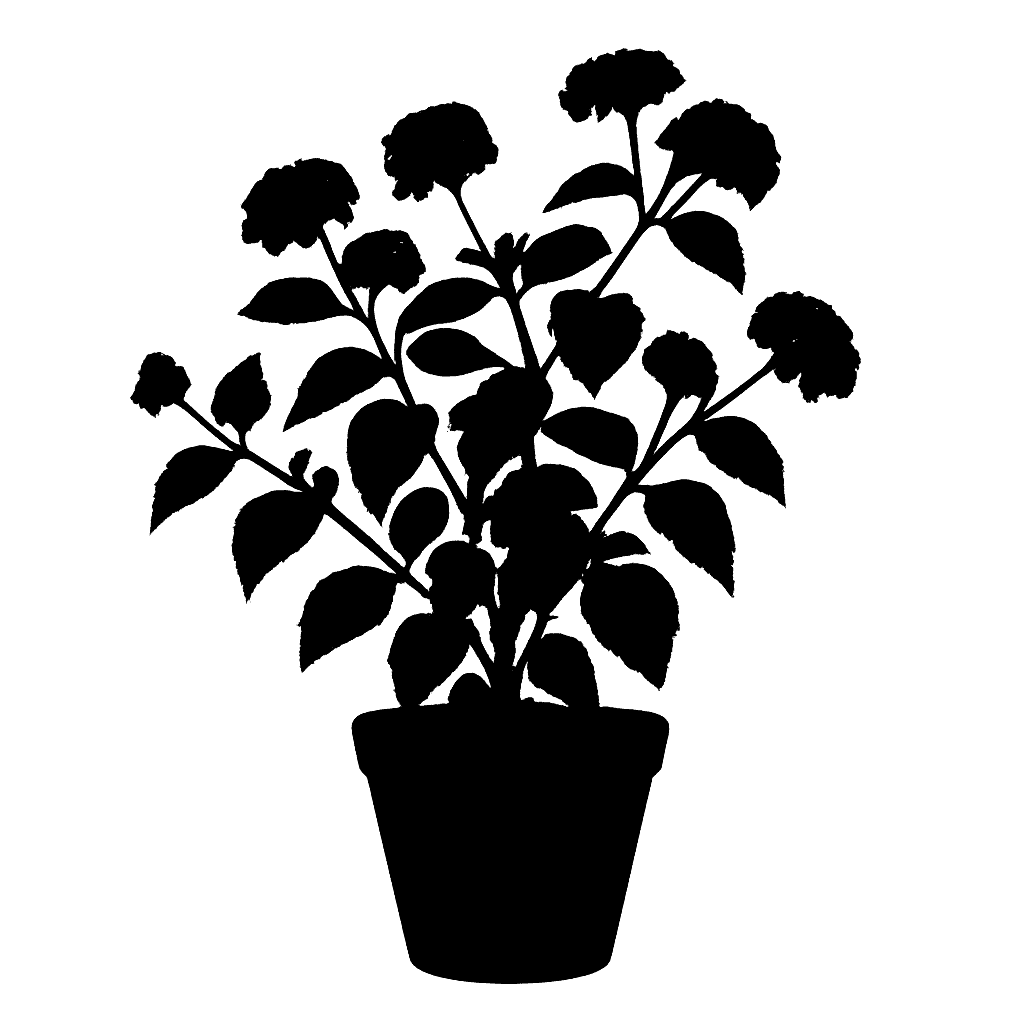 Lantana camara