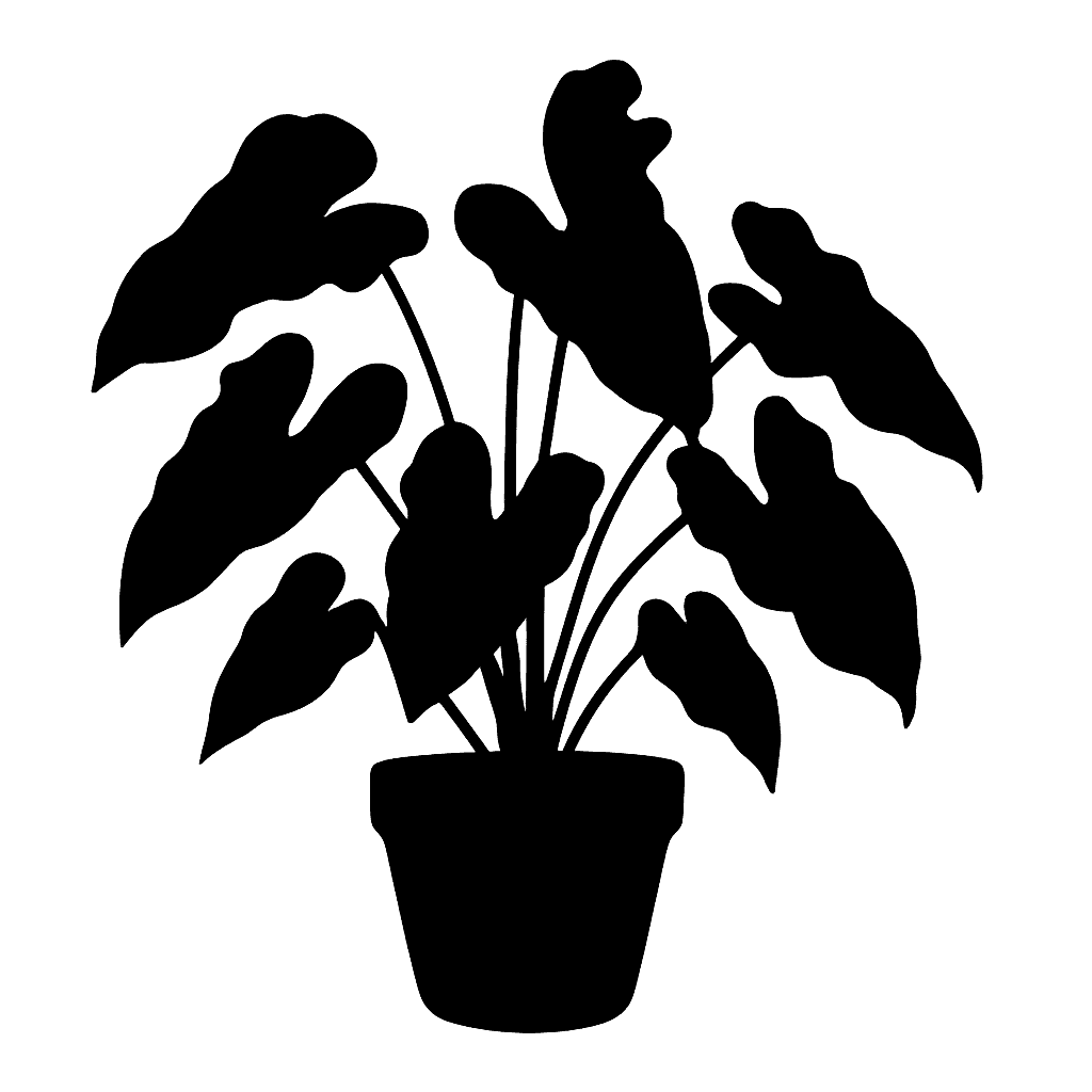 Philodendron burle-marxii