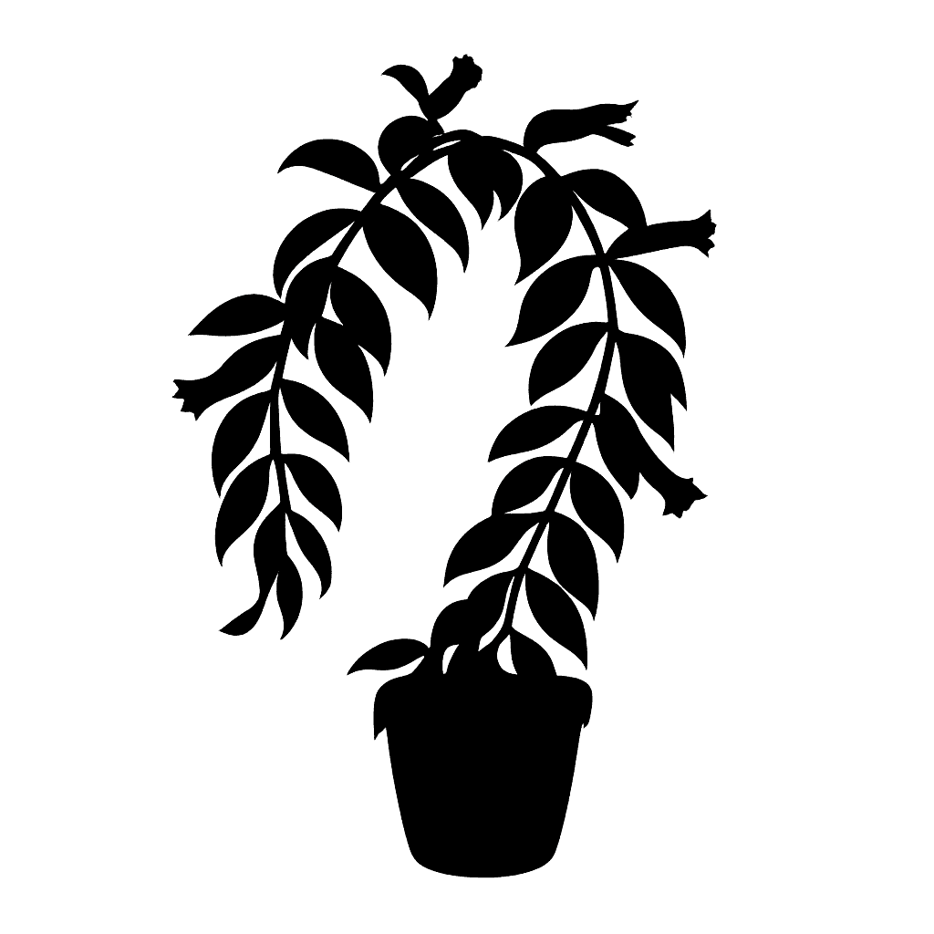 Aeschynanthus radicans