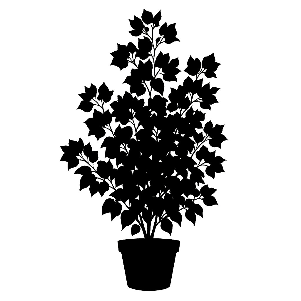 Bougainvillea peruviana