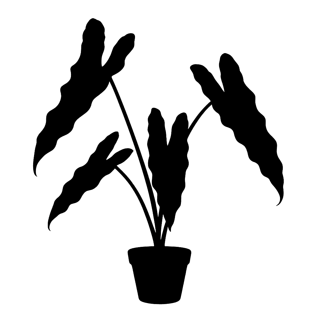 Philodendron billietiae