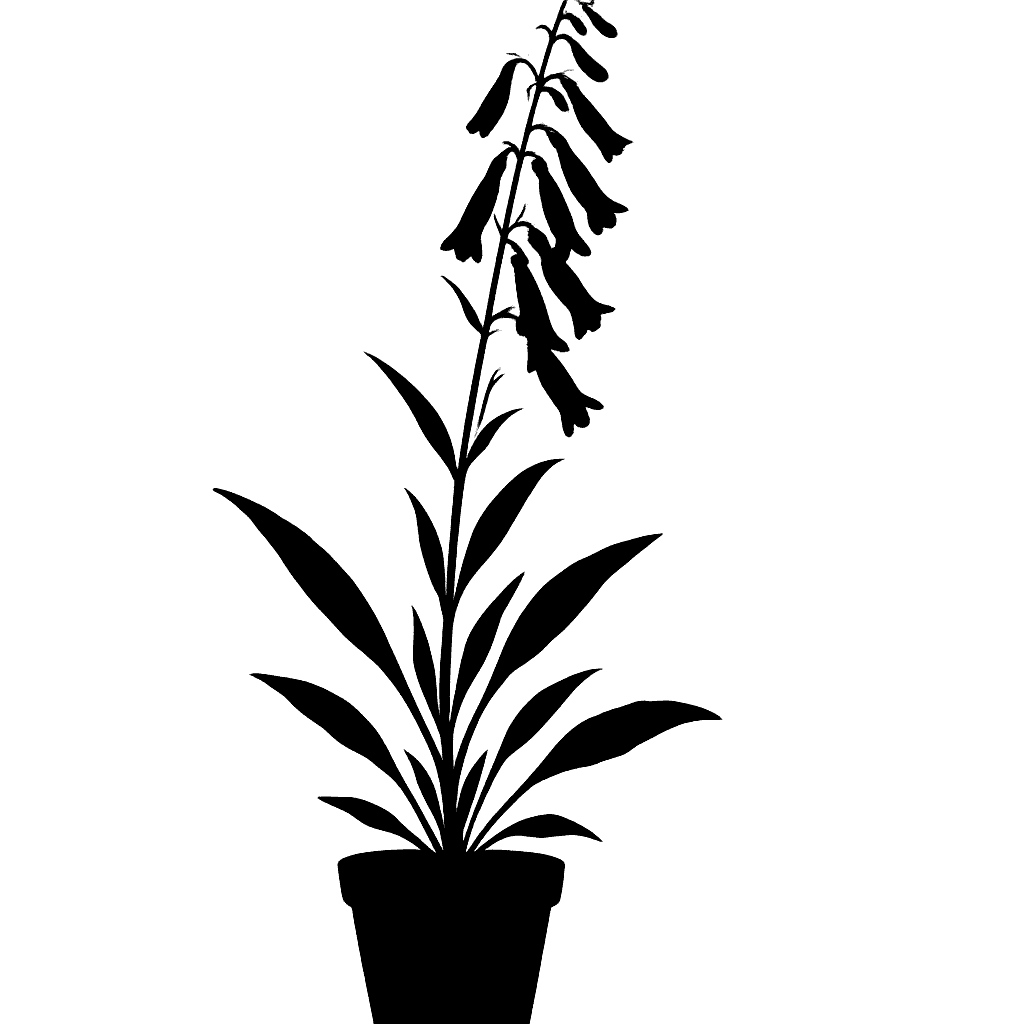 Penstemon alamosensis