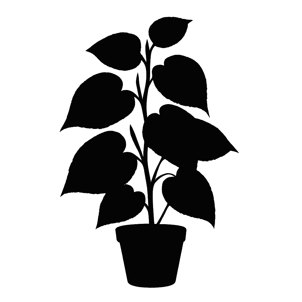 Piper pamploanum