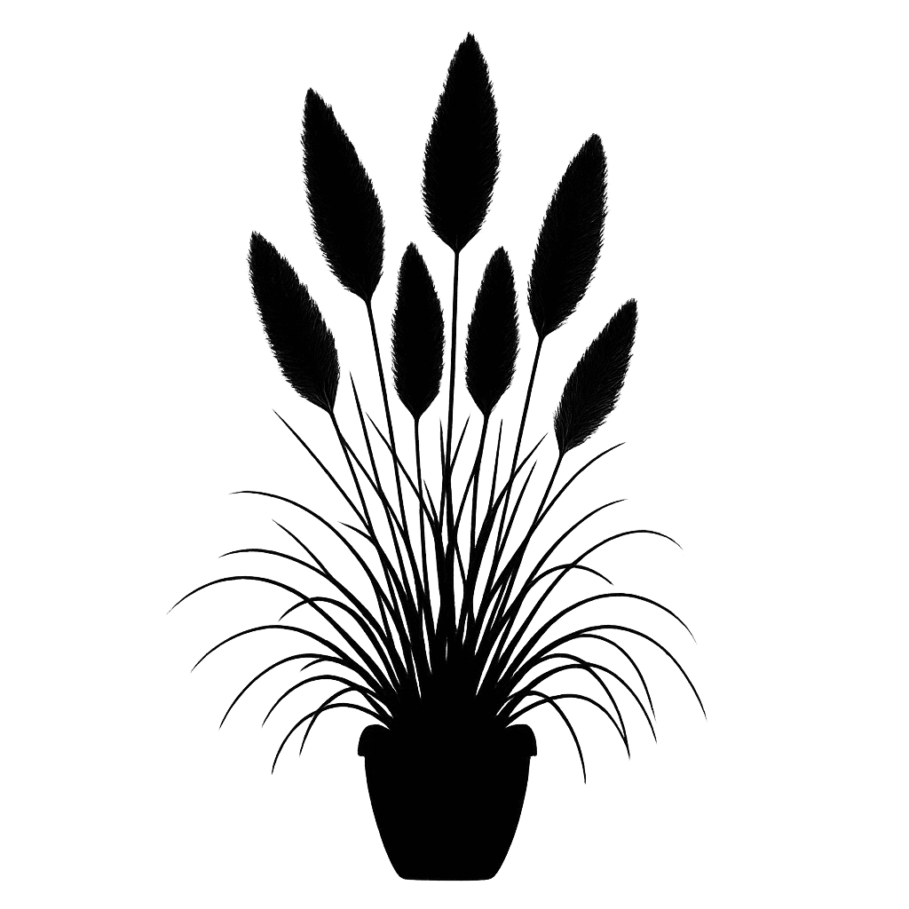 Cortaderia selloana