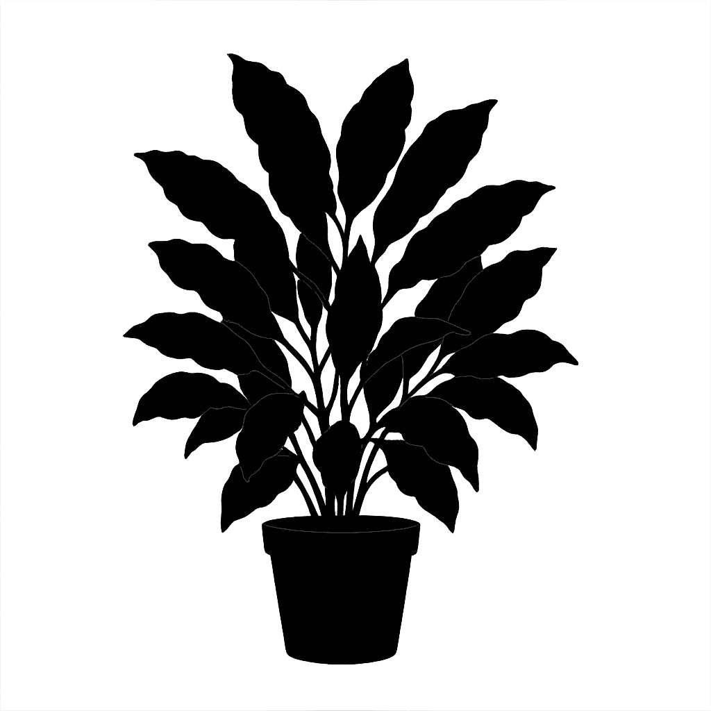 Codiaeum variegatum