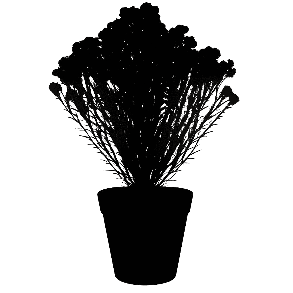 Ericameria nauseosa