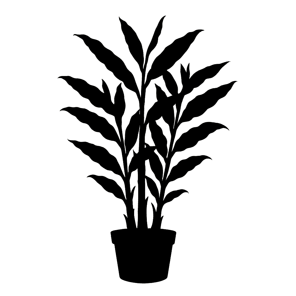 Zingiber officinale