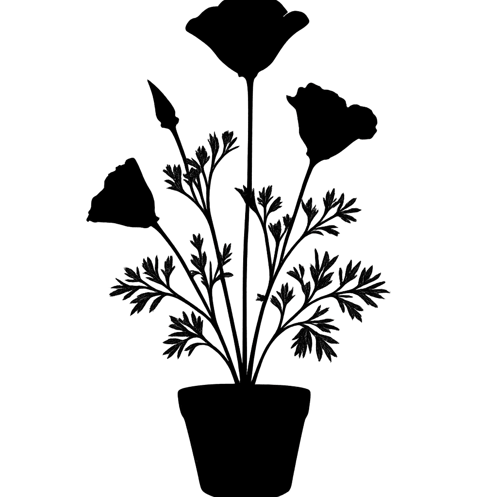 Eschscholzia californica