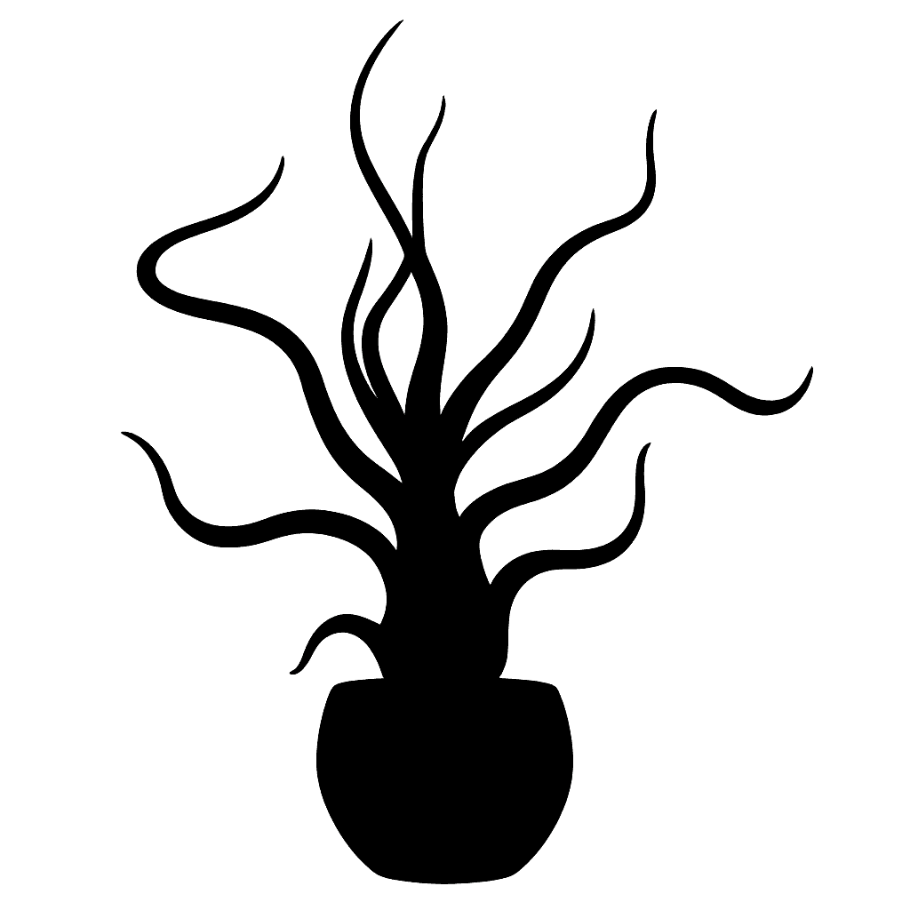 Tillandsia bulbosa