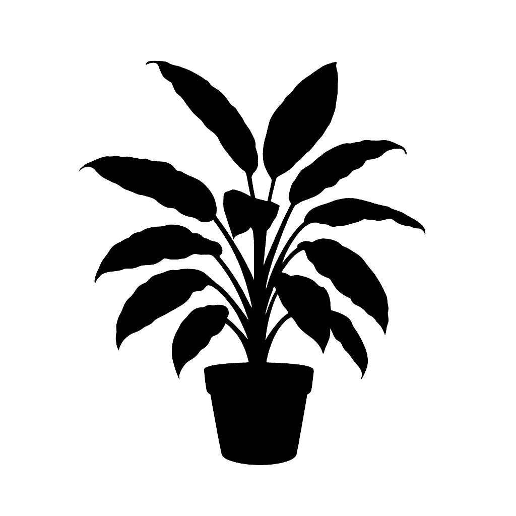 Dieffenbachia oerstedii