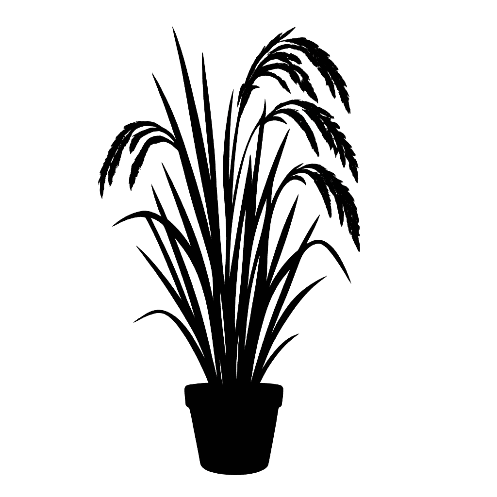 Oryza glaberrima