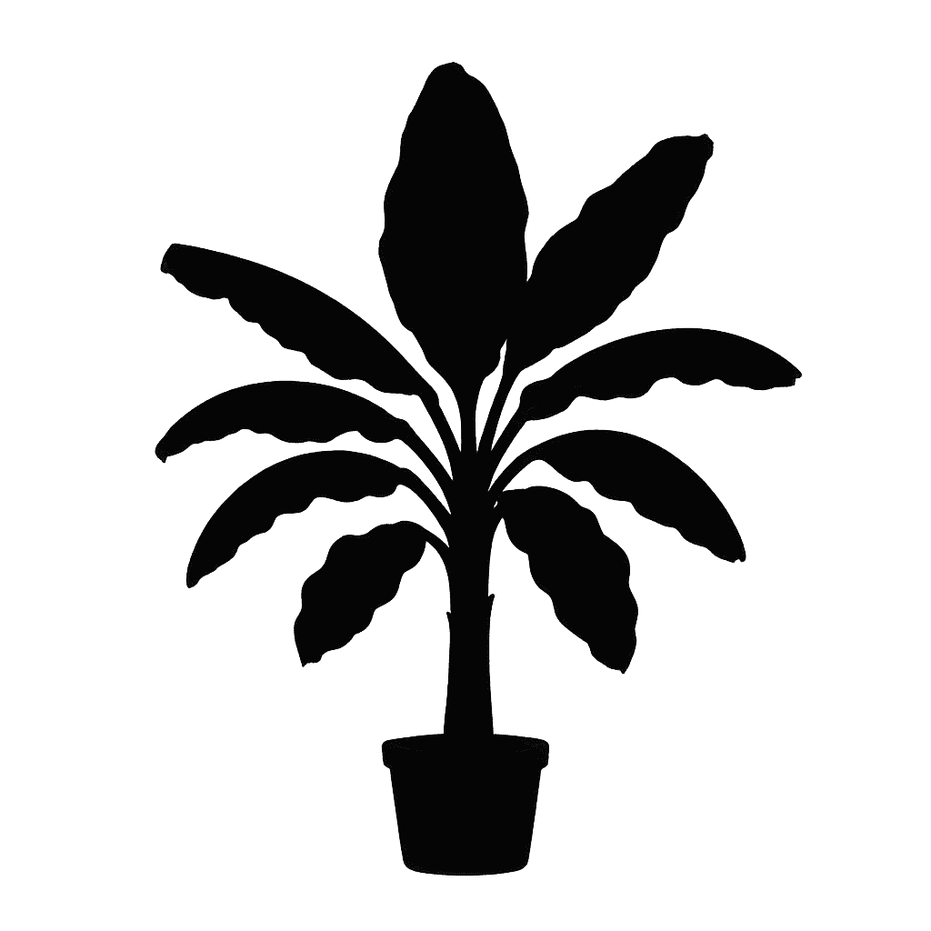Musa monticola