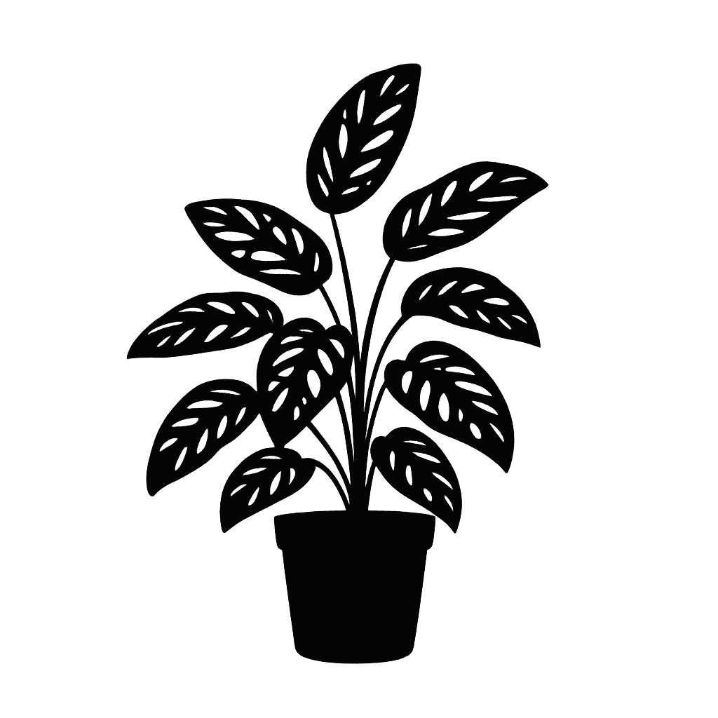 Monstera karstenianum