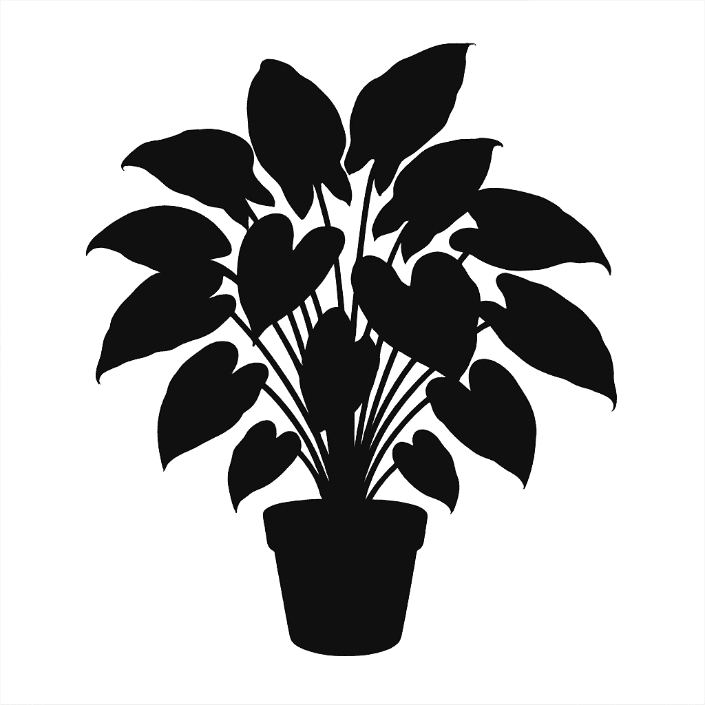 Syngonium macrophyllum