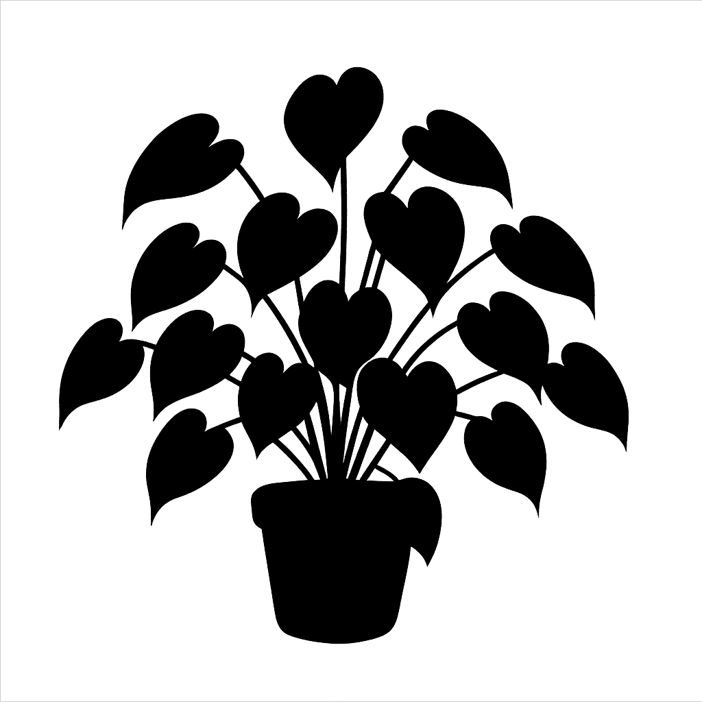 Philodendron cordatum