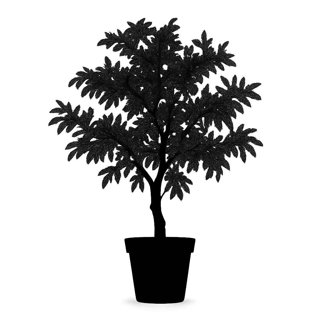 Acacia greggii