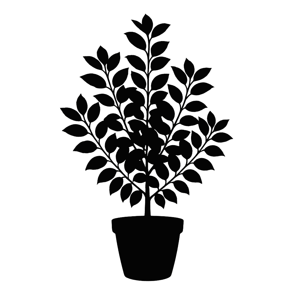 Viburnum luzonicum