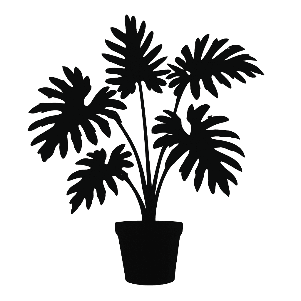 Philodendron bipinnatifidum