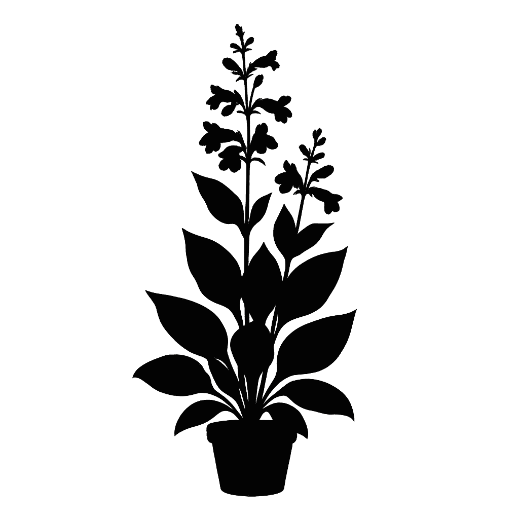 Penstemon platyphyllus