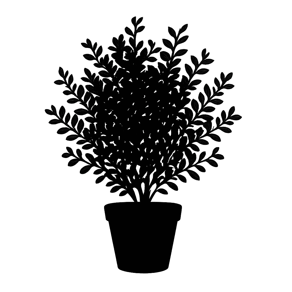 Coprosma crassifolia