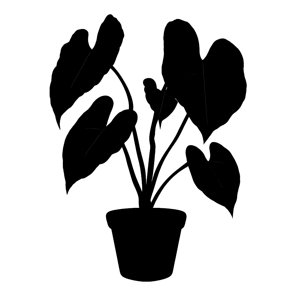 Philodendron verrucosum