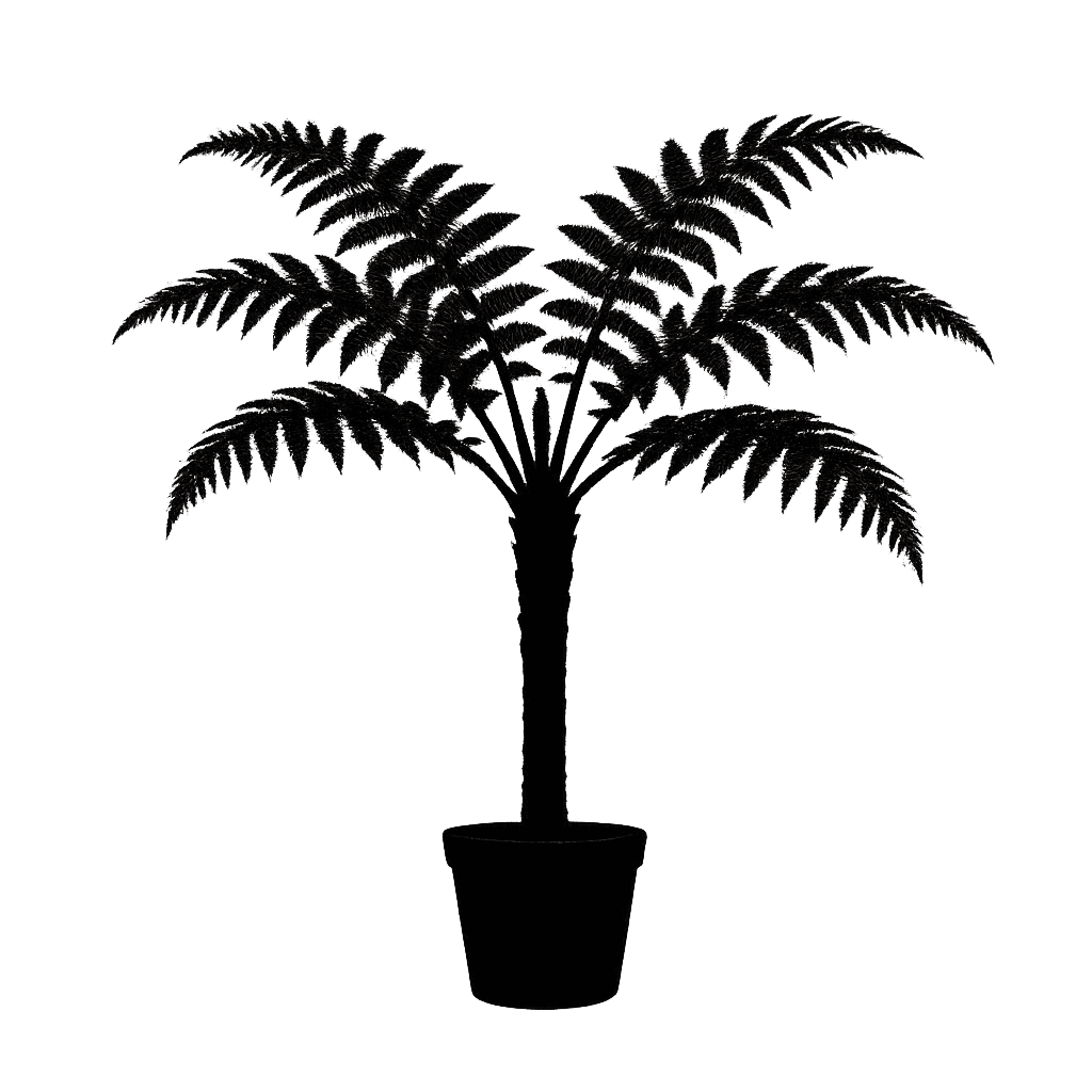 Cyathea medullaris